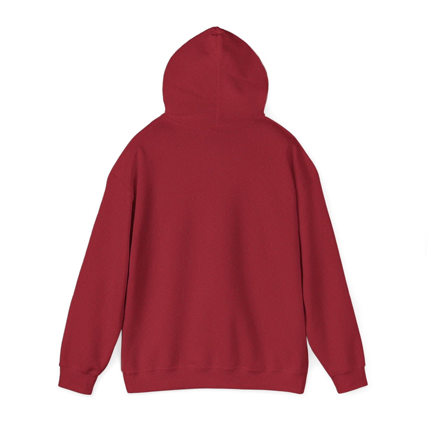 Memorial Day Unisex Hoodie - "We Remember" Patriotic Sweatshirt