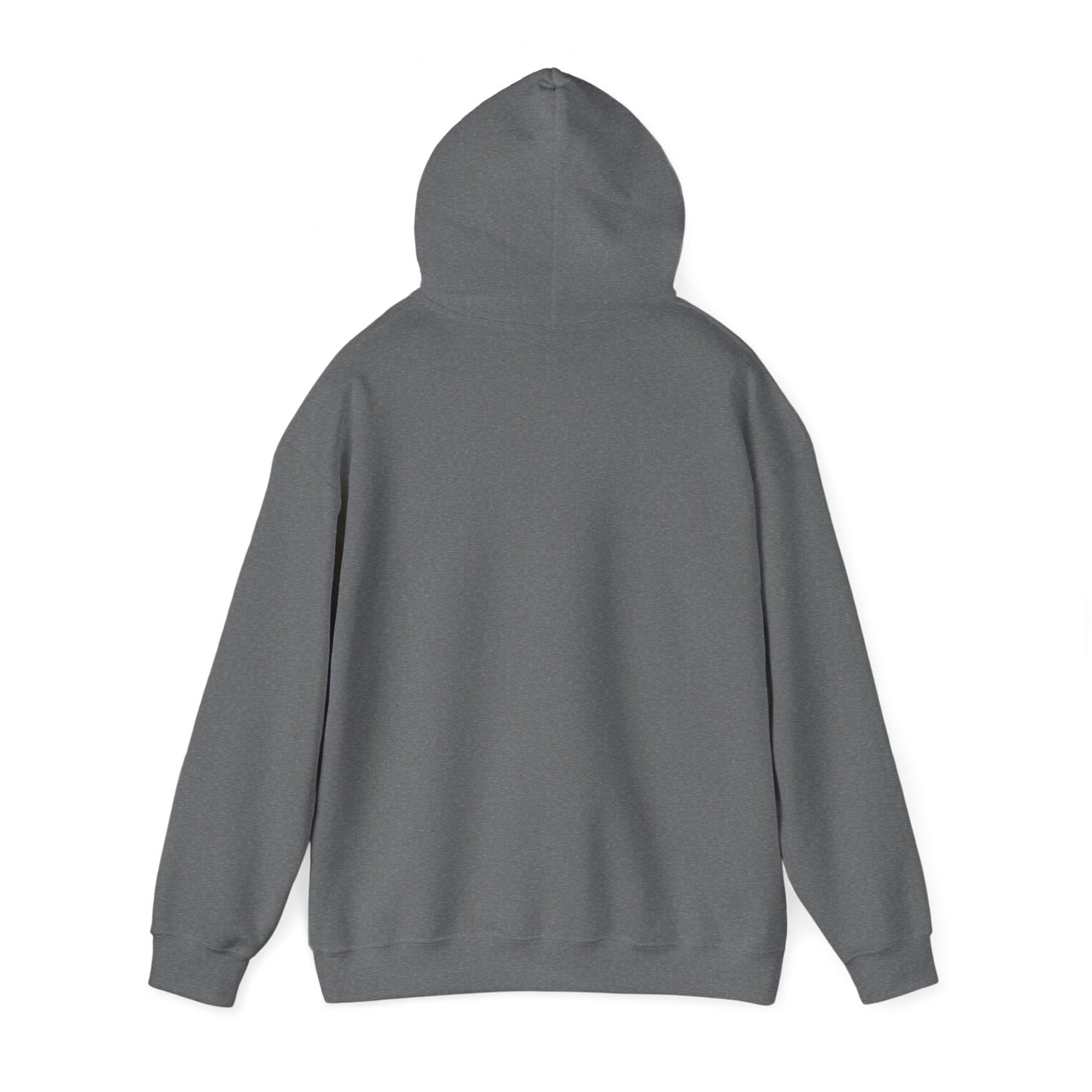 Memorial Day Unisex Hoodie - "We Remember" Patriotic Sweatshirt